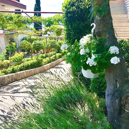 Breza - Balcony And One Bedroom Apartment